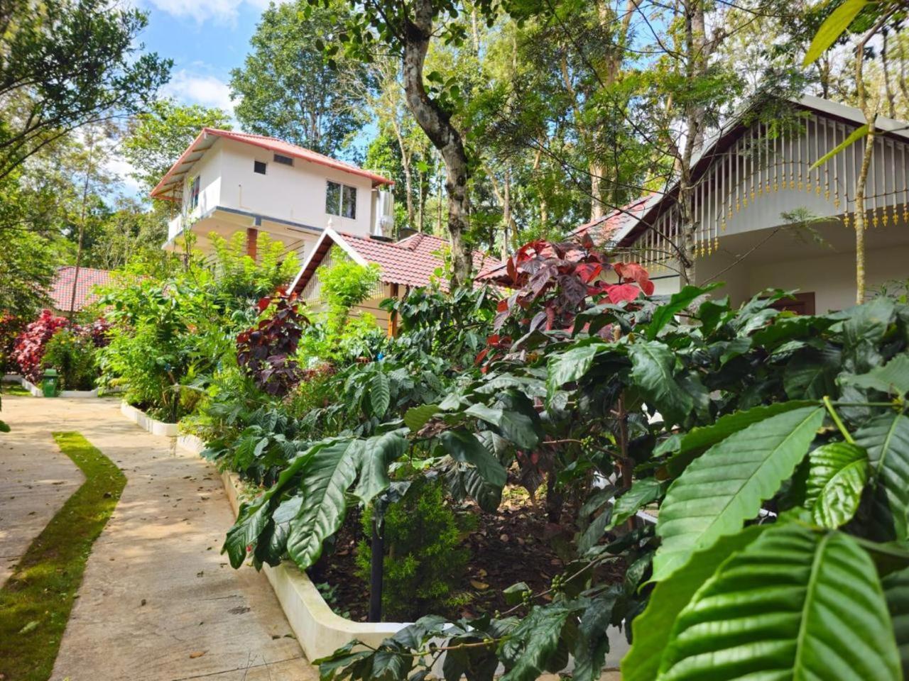 Coorg Orange Blossom Resort And Spa Suntikoppa Exteriér fotografie