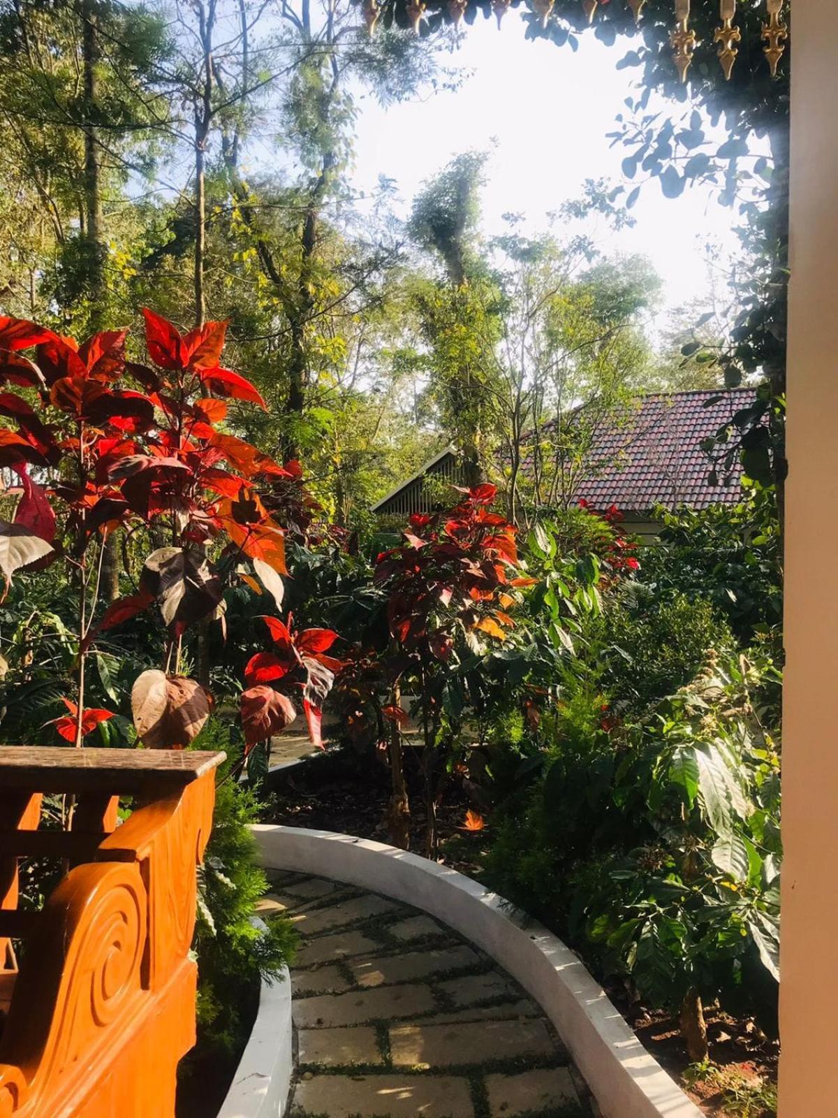 Coorg Orange Blossom Resort And Spa Suntikoppa Exteriér fotografie
